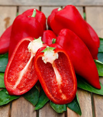 Paprika Snacking Red - Capsicum annuum - prodej semen - 5 ks