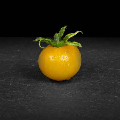 Rajče Zlatá královna - Solanum lycopersicum - prodej semen - 10 ks