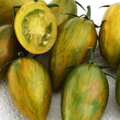 Rajče Artisan Green Tiger - Solanum lycopersicum - prodej semen - 5 ks